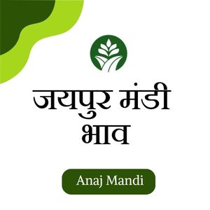 Online Jaipur Mandi Bhav by anajmandi