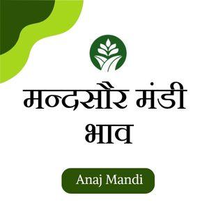 Online Mandsaur Mandi Bhav today