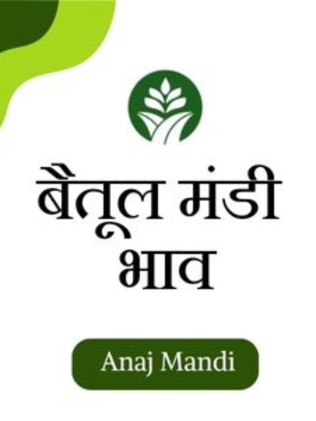 Online Betul Mandi Bhav by Anajmandi