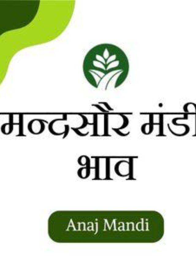 Online Mandsaur Mandi Bhav by anajmandi