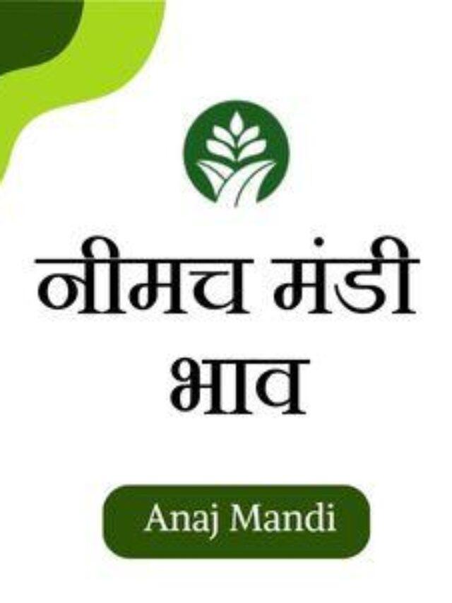 Online Neemuch Mandi Bhav Today by anajmandi