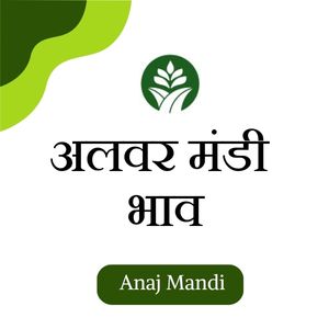 Online Alwar Mandi Bhav by anajmandi