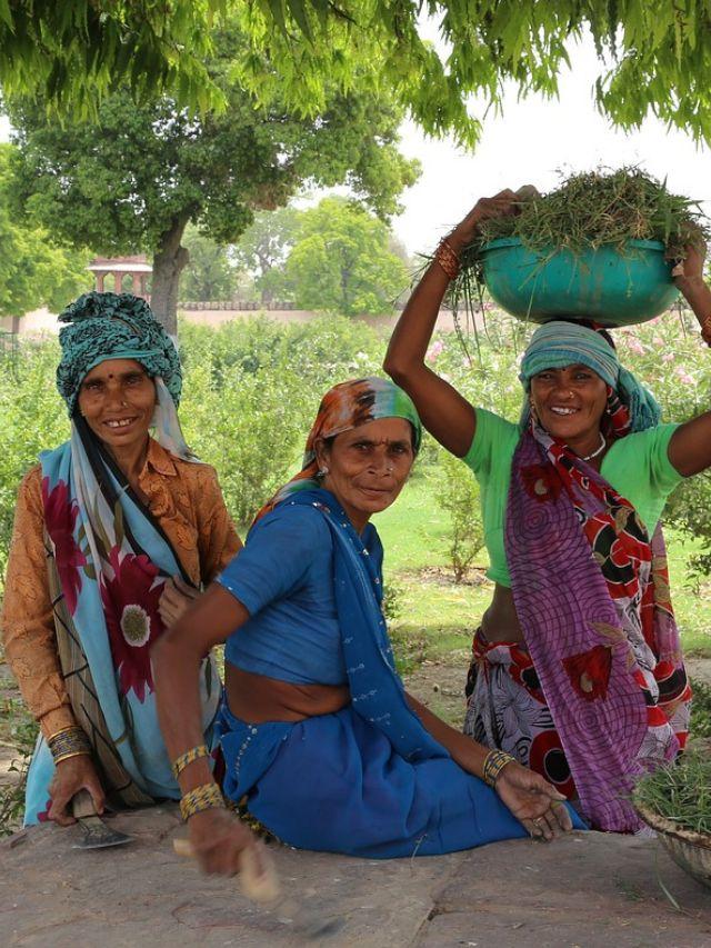 Women doing work in farm