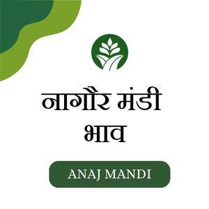 Online Nagaur Mandi Bhav
