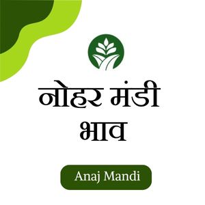 Online Nohar Mandi Bhav by anajmandi