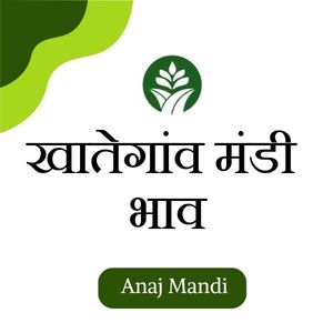 Online khategaon mandi bhav by anajmandi