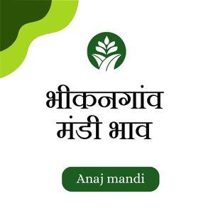 Online Bhikangaon Mandi Bhav
