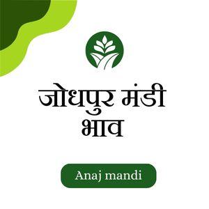 Online Jodhpur Mandi Bhav