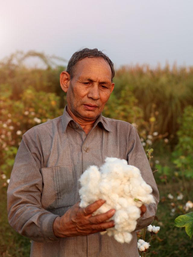 A man holding cotton crop